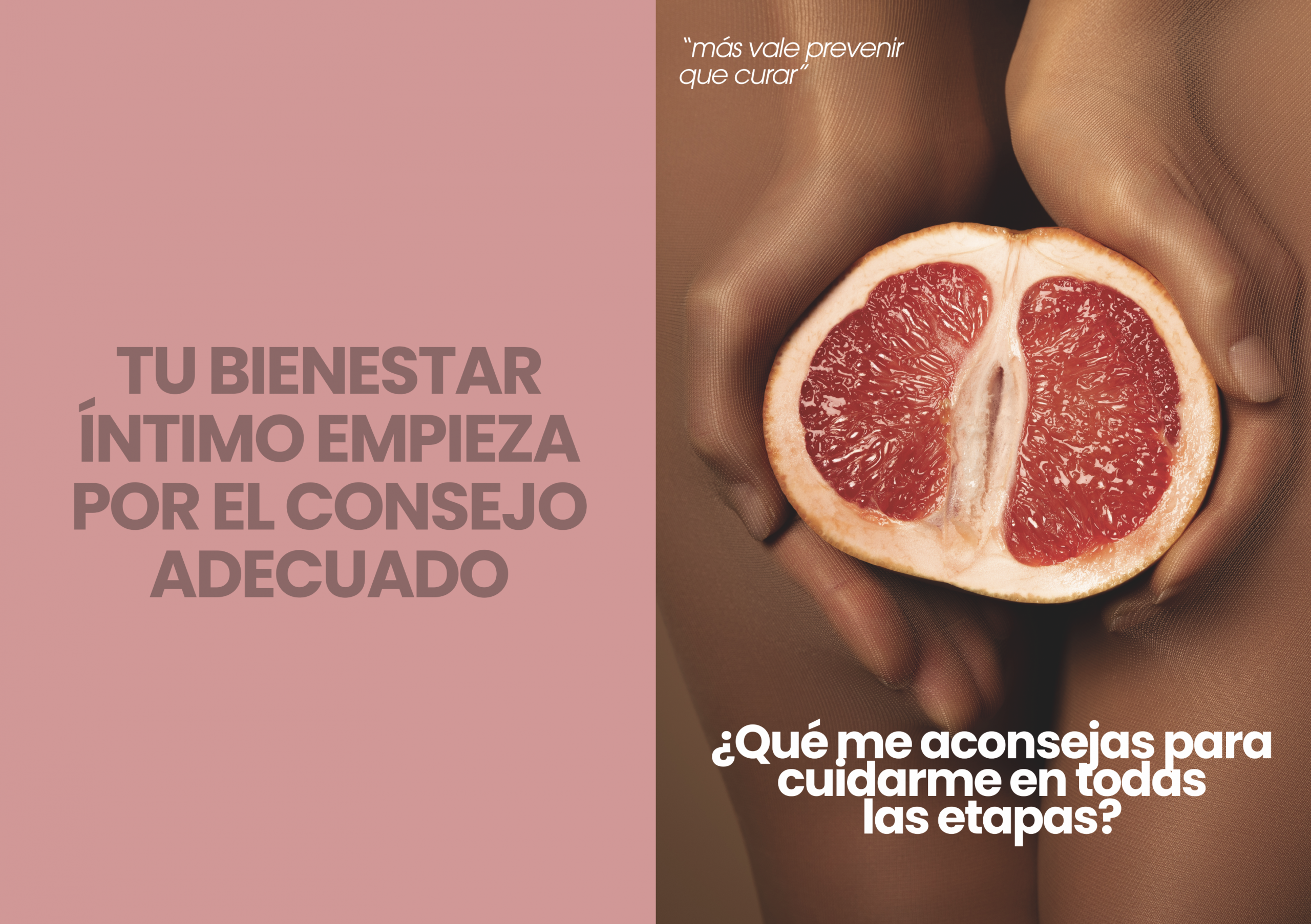 Captura de pantalla 2026-02-03 a las 8.16.17